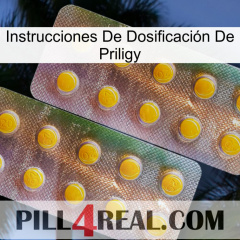 Instrucciones De Dosificación De Priligy new10